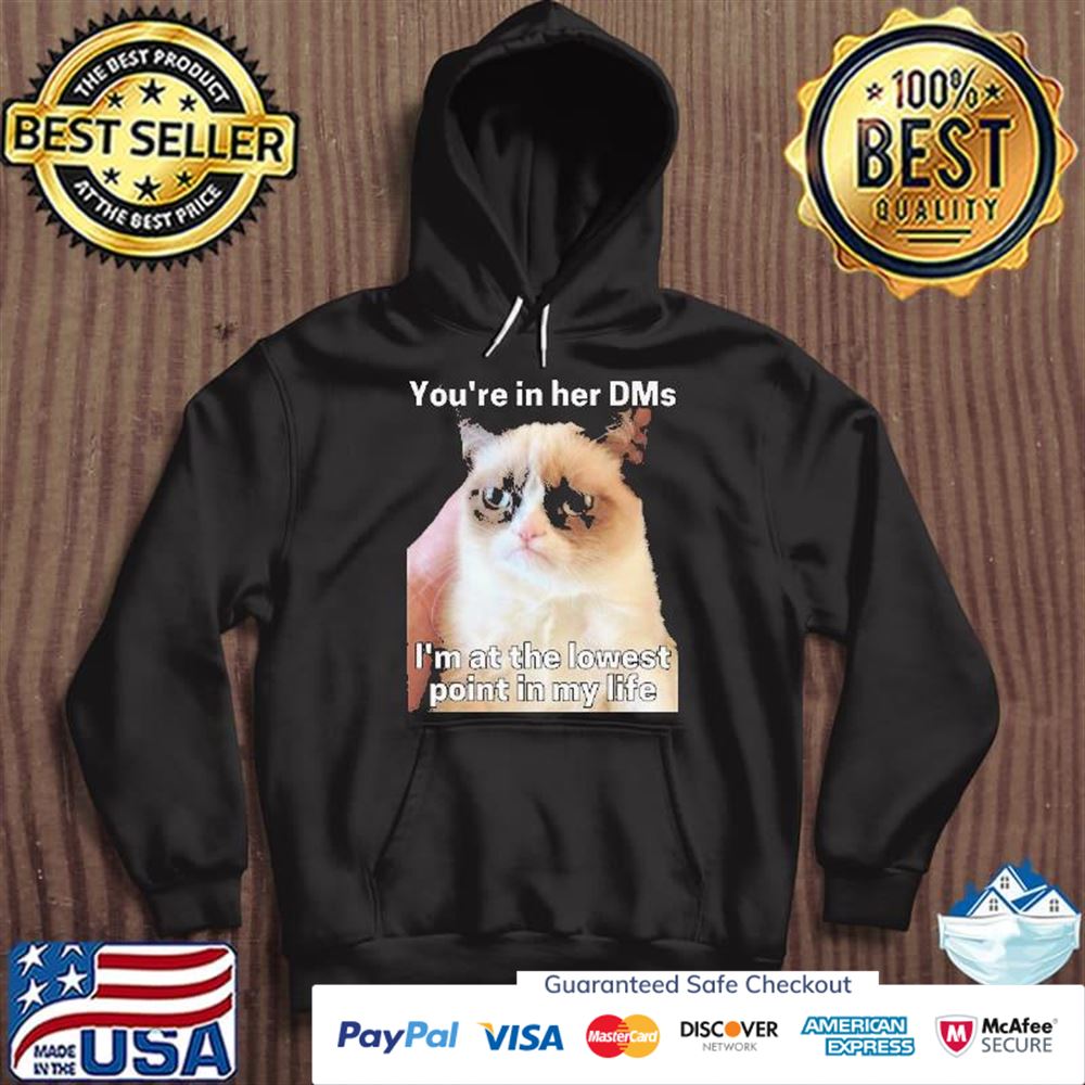 You’re in her dms I’m at the lowest point in my life cat meme t-shirt