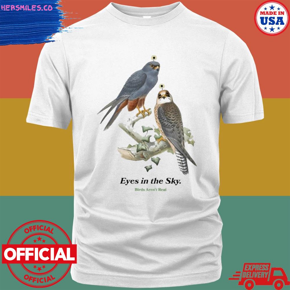 Eyes in the sky birds aren’t real T-shirt