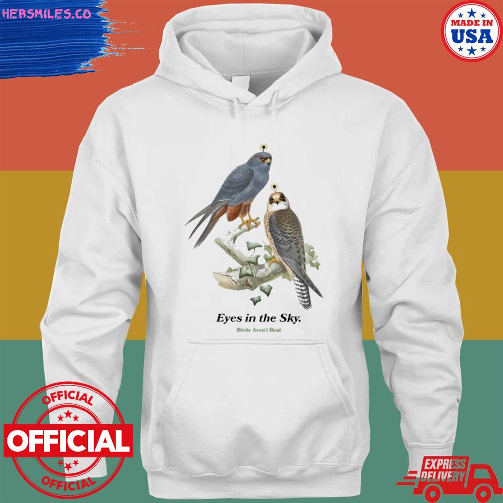 Eyes in the sky birds aren’t real T-shirt