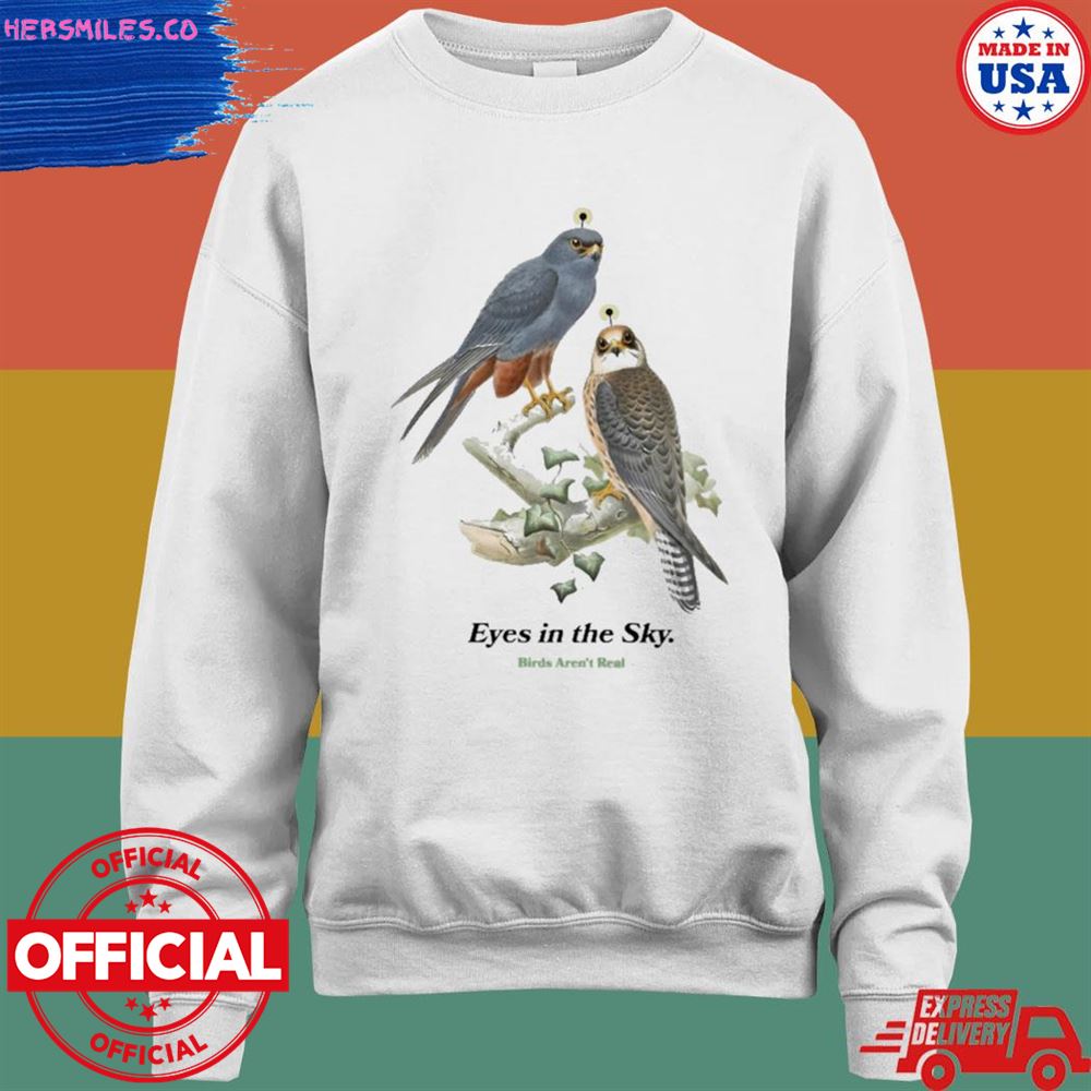 Eyes in the sky birds aren't real T-shirt Eyes in the sky birds aren't real T-shirt
