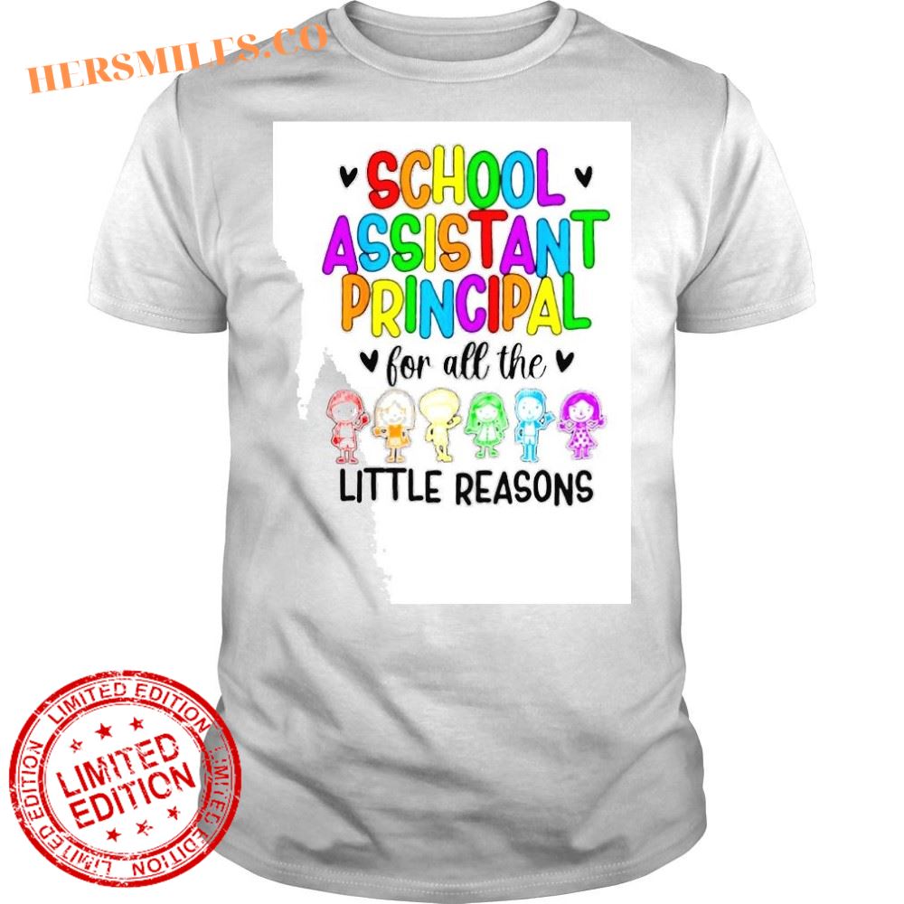Little reasons assistant principal appreciation shirt