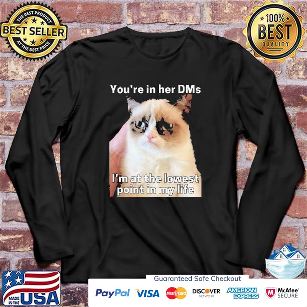 You're In Her Dms I'm At The Lowest Point In My Life Cat Meme T-shirt ...