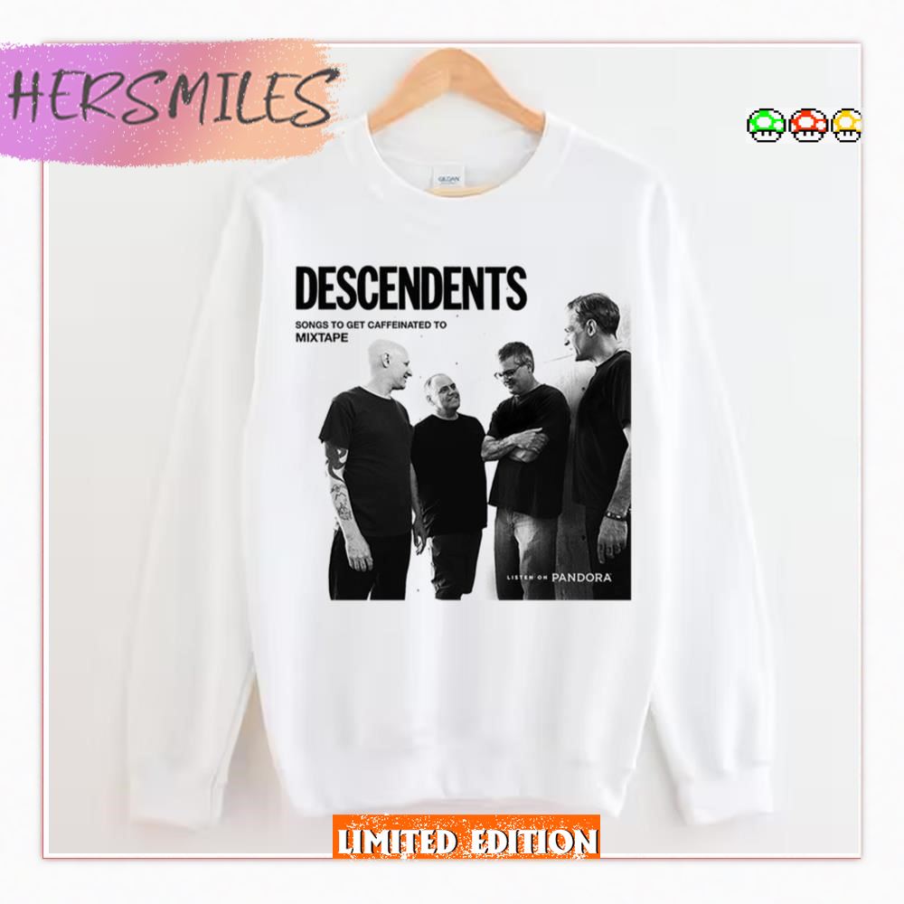 The Mixtape Oldies Punk Descendents  T-shirt