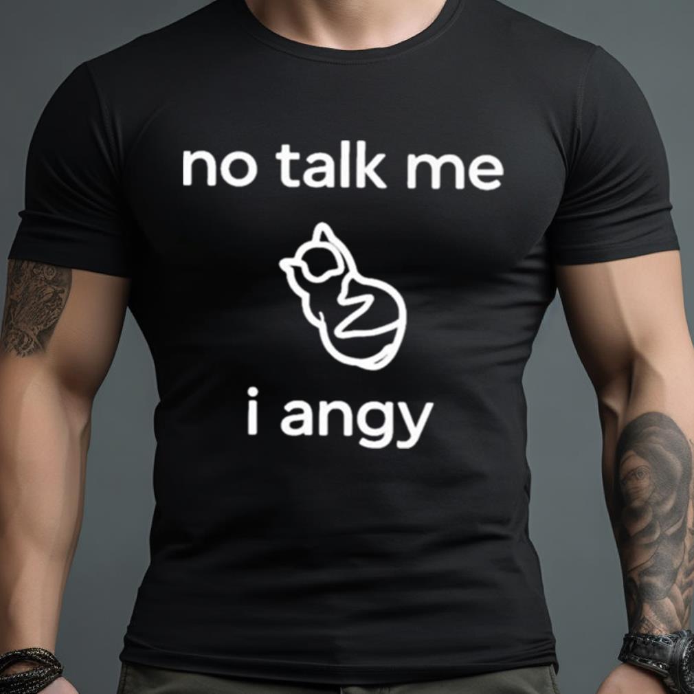 Place Where Cat Shouldn’T Be No Talk Me I Angy Boi Shirt
