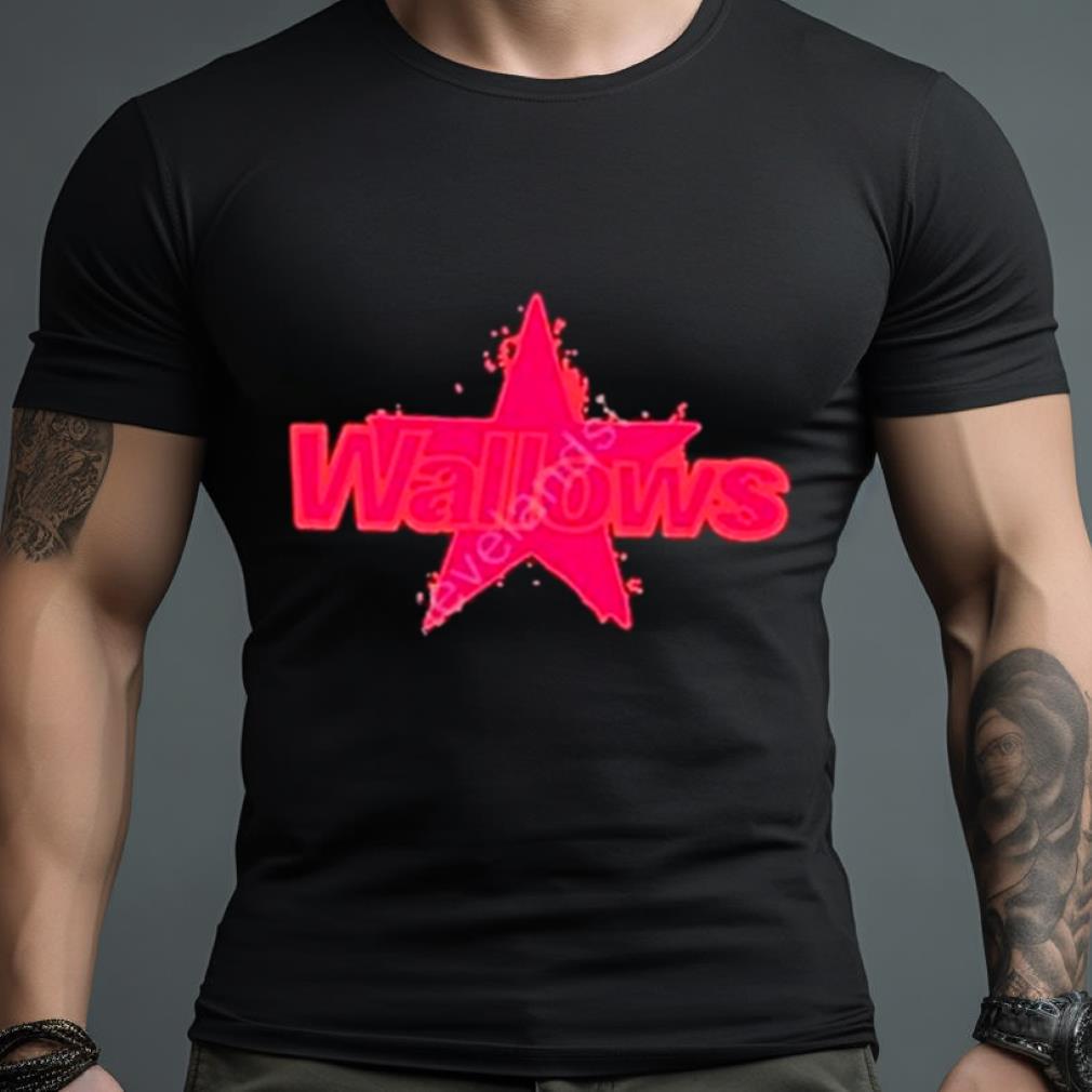 Wallows Music Star Shirt