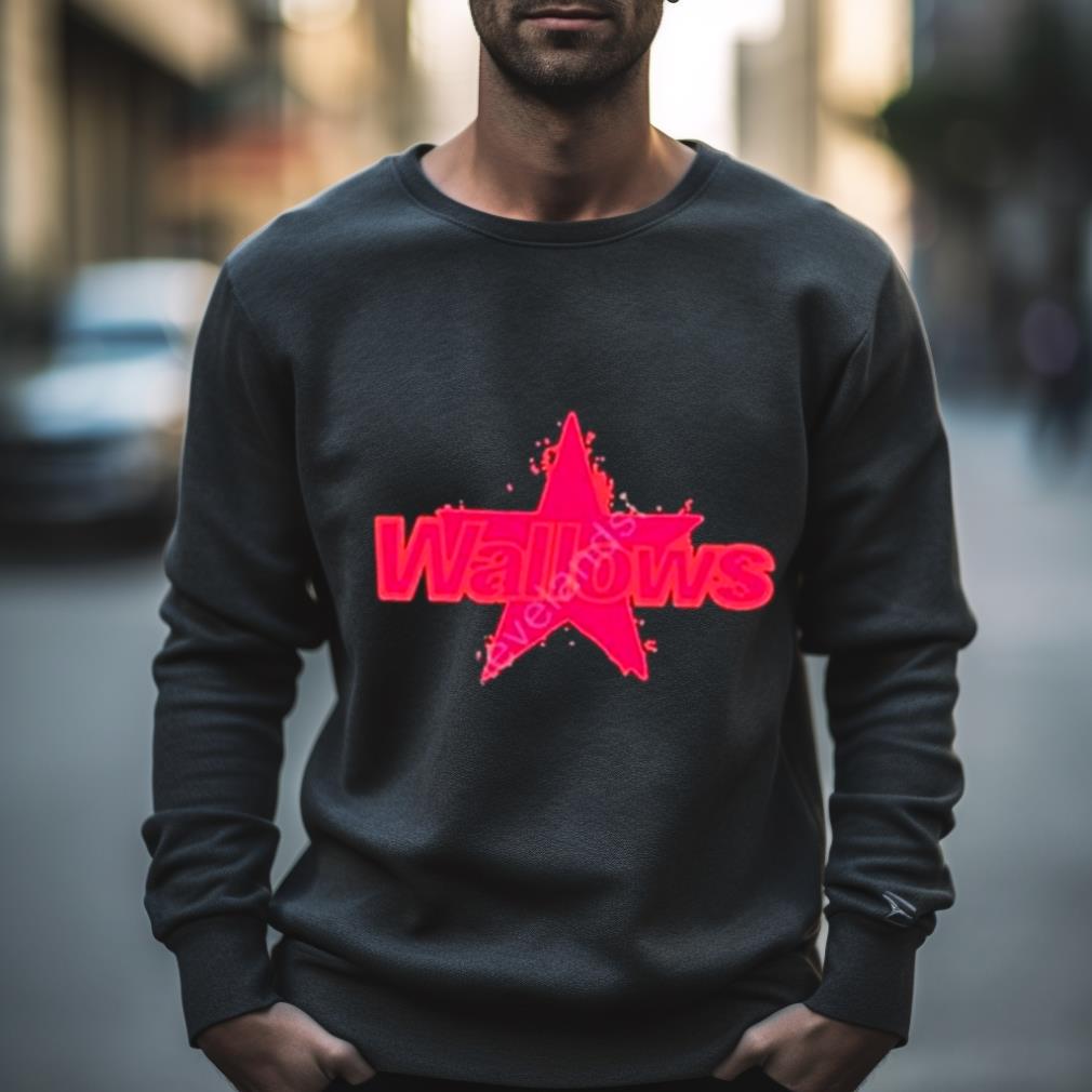 Wallows Music Star Shirt