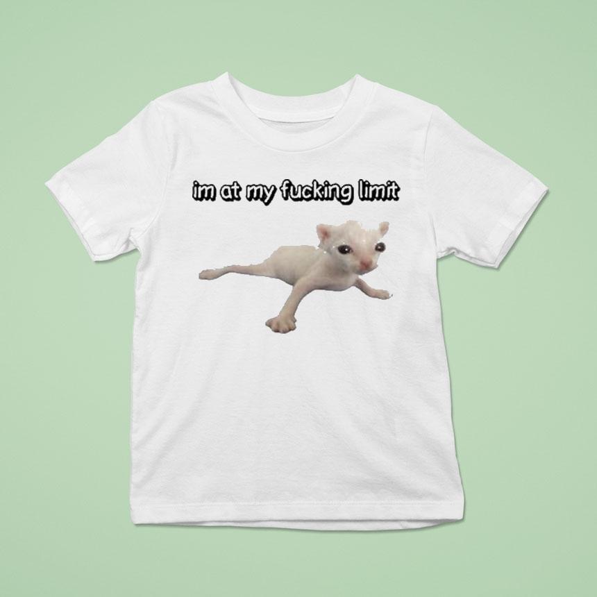 I’m At My Fucking Limit Cat Shirt