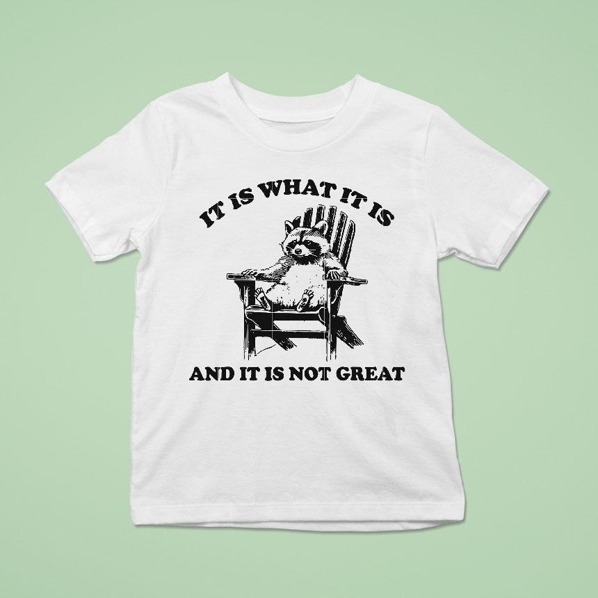 It Is What It Is And It Is Not Great Raccoon Shirt