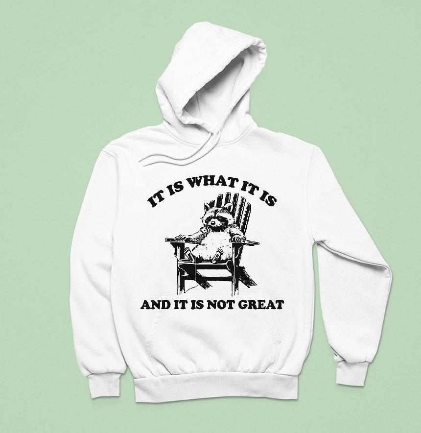 It Is What It Is And It Is Not Great Raccoon Shirt It Is What It Is And It Is Not Great Raccoon Shirt