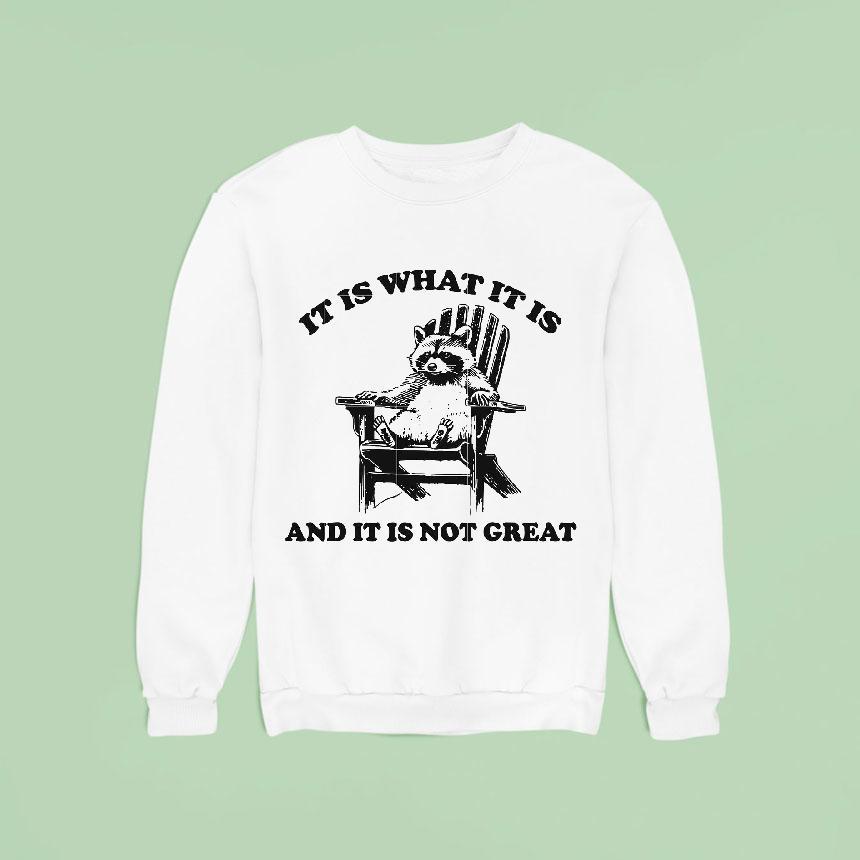 It Is What It Is And It Is Not Great Raccoon Shirt It Is What It Is And It Is Not Great Raccoon Shirt